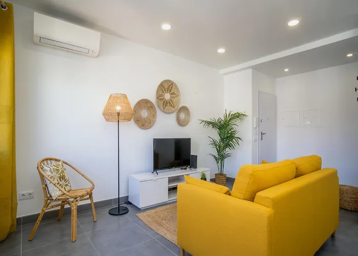 Akisol Gerbera Portimao