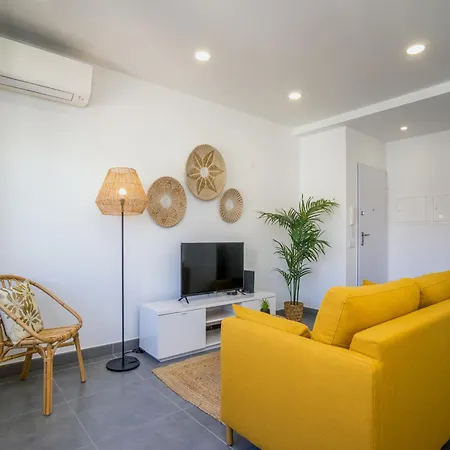 Akisol Gerbera بورتيماو